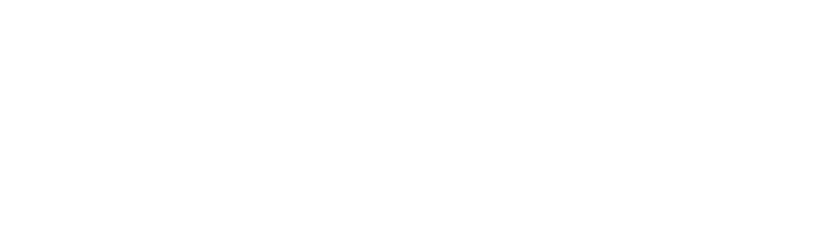 NetSuite solution provider