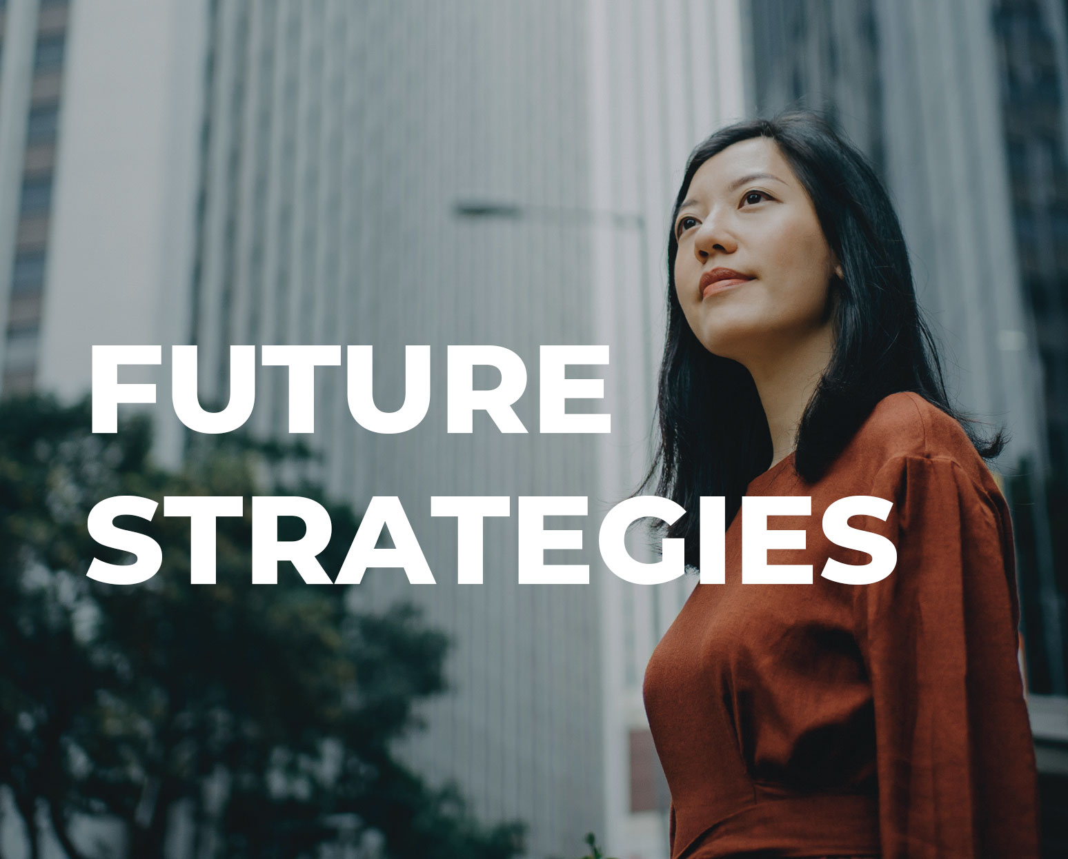 NetSuite Future Strategies